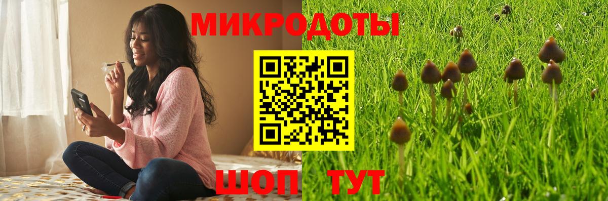 Галлюциногенные грибы Psilocybe  Вход с VPN  Псилоцибиновые грибы мухоморы  Лесозаводск 
